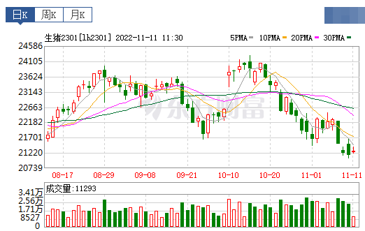 2022.11.11今日猪价，15省跌破12元