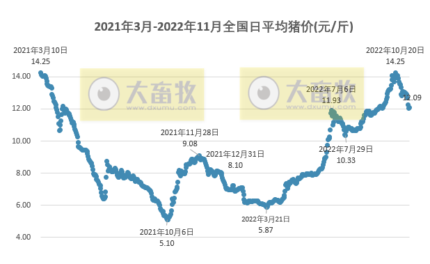2022.11.12今日猪价，多省止跌回升