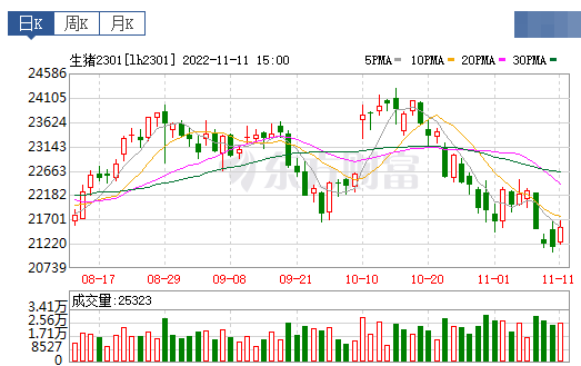2022.11.12今日猪价，多省止跌回升
