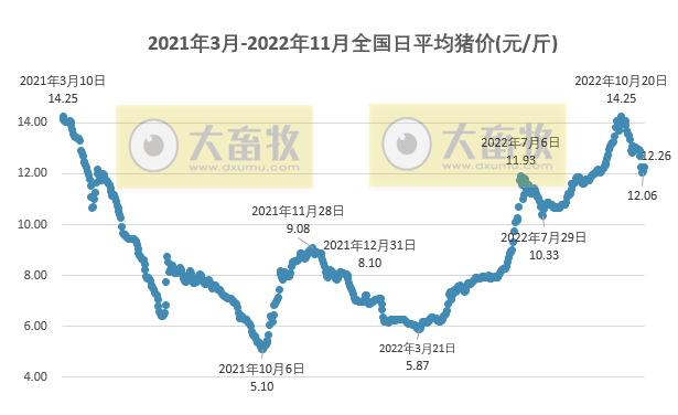 2022.11.13今日猪价