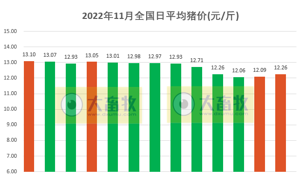 2022.11.13今日猪价