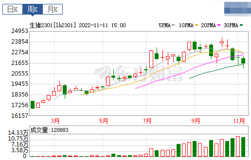 2022.11.13今日猪价