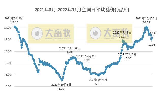 2022.11.14今日猪价
