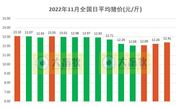 2022.11.14今日猪价