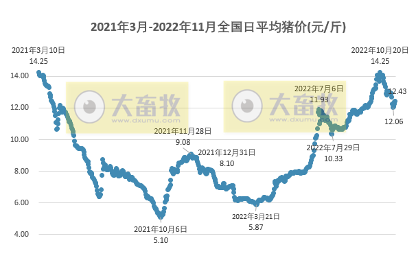 2022.11.15今日猪价