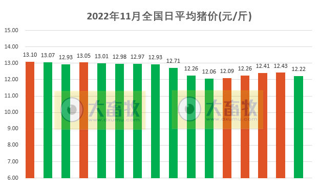 2022.11.16今日猪价