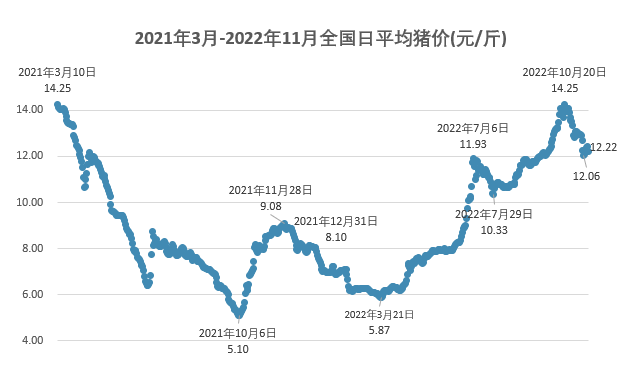 2022.11.16今日猪价