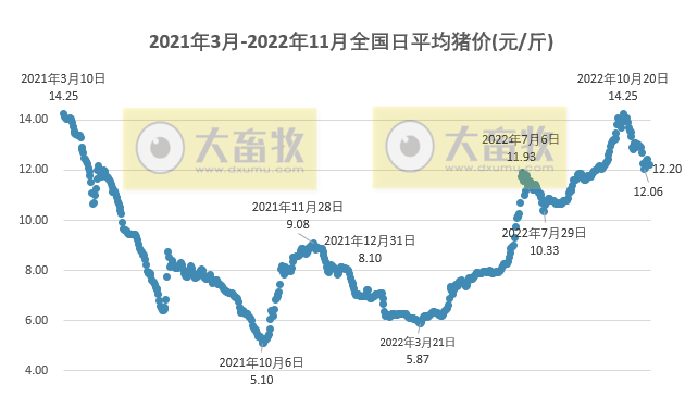 2022.11.17今日猪价