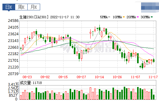2022.11.17今日猪价