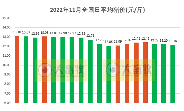 2022.11.18今日猪价