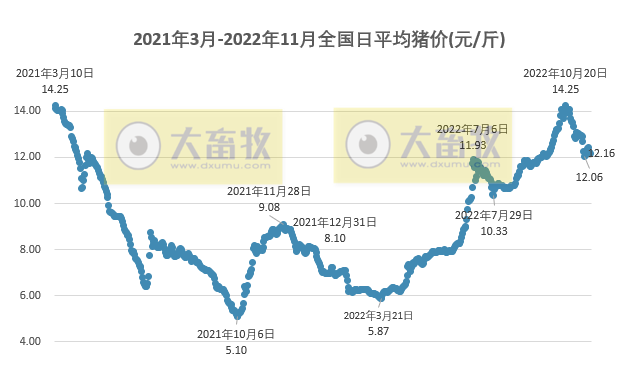 2022.11.18今日猪价