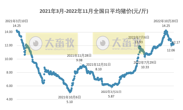 2022.11.19今日猪价