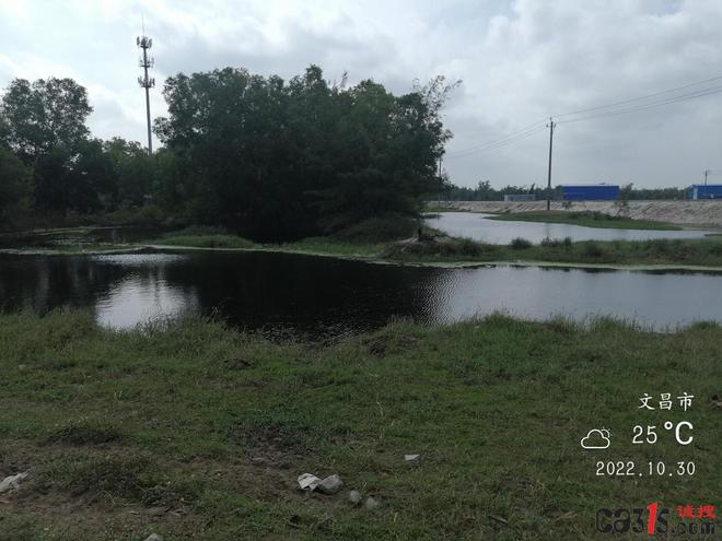 文昌京基智农被罚981万元！牧原、温氏、正邦、新希望等一众猪企都曾因此被罚......