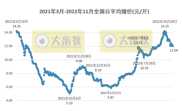 2022.11.20今日猪价