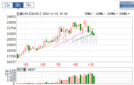 2022.11.20今日猪价