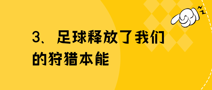 2022.11.20今日猪价