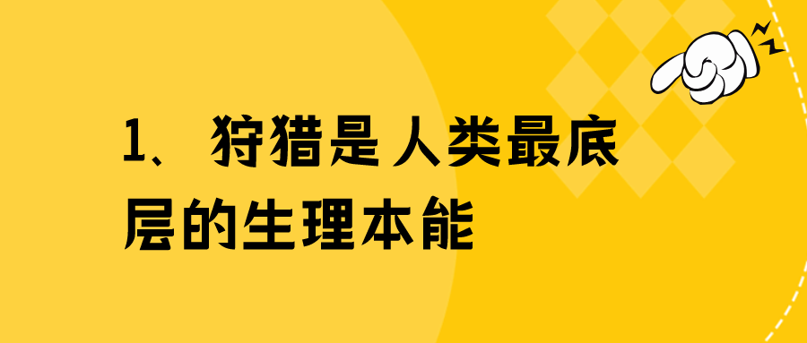 2022.11.20今日猪价