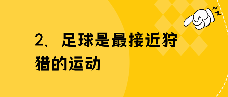 2022.11.20今日猪价