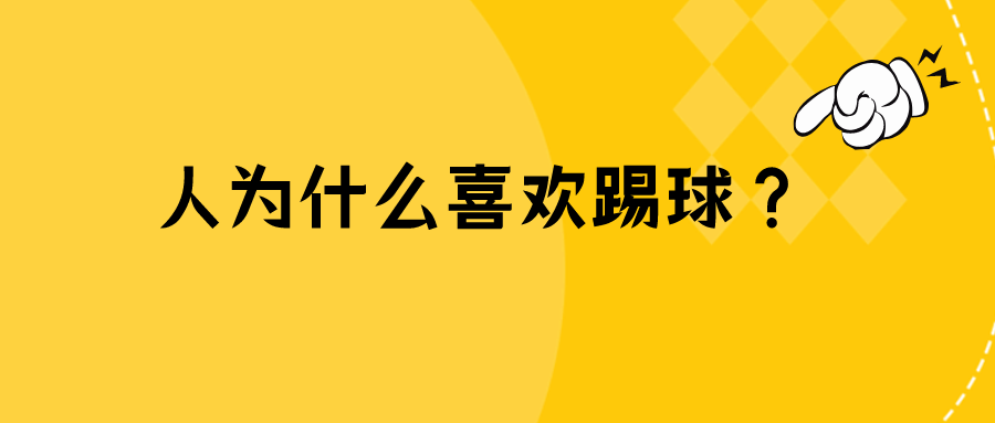 2022.11.20今日猪价