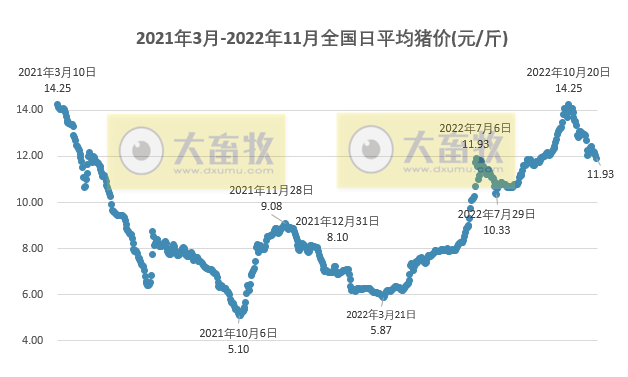 2022.11.21今日猪价