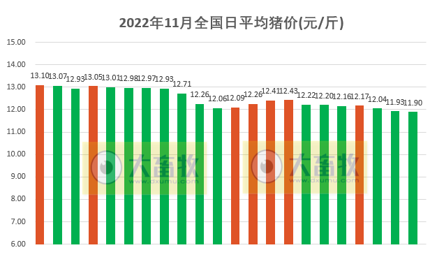2022.11.22今日猪价