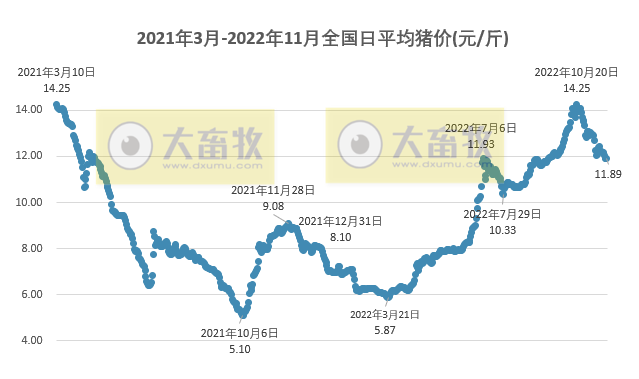 2022.11.23今日猪价