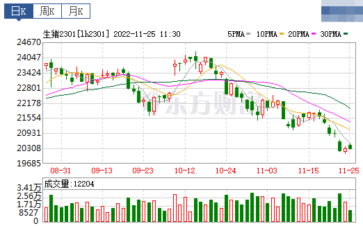 2022.11.25今日猪价,绿油油,大幅下滑