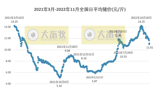 2022.11.26今日猪价