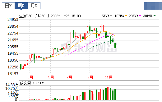 2022.11.27今日猪价