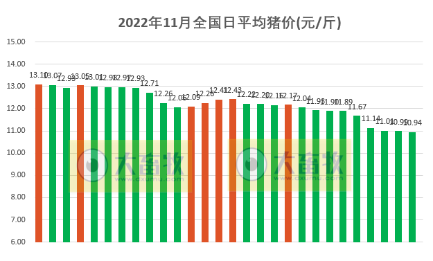 2022.11.28今日猪价