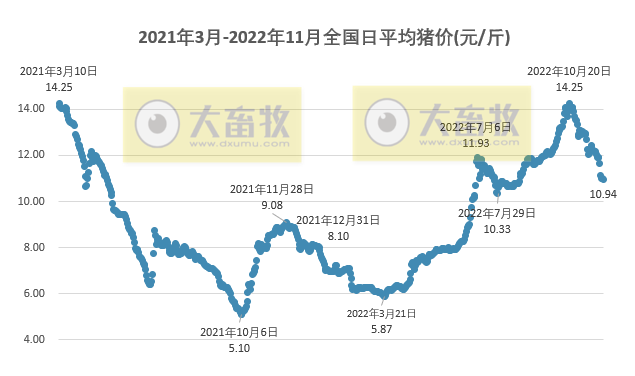 2022.11.28今日猪价