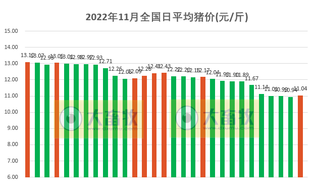 2022.11.29今日猪价