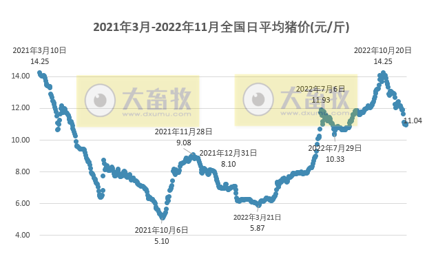 2022.11.29今日猪价