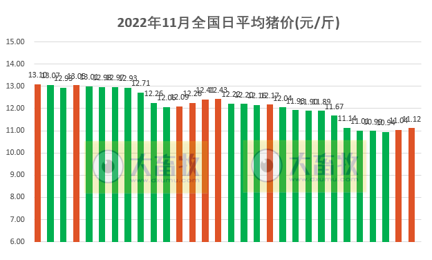 2022.11.30今日猪价