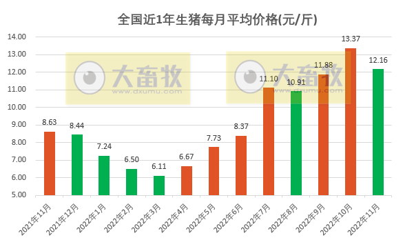 2022.11.30今日猪价