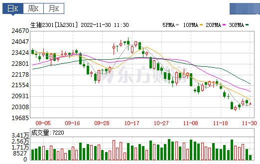 2022.11.30今日猪价