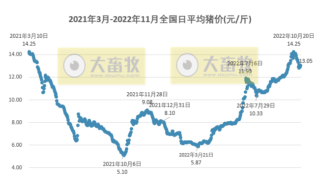 2022.11.04今日猪价