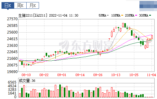 2022.11.04今日猪价