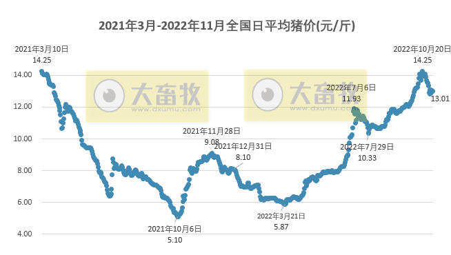 2022.11.05今日猪价