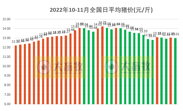 2022.11.05今日猪价