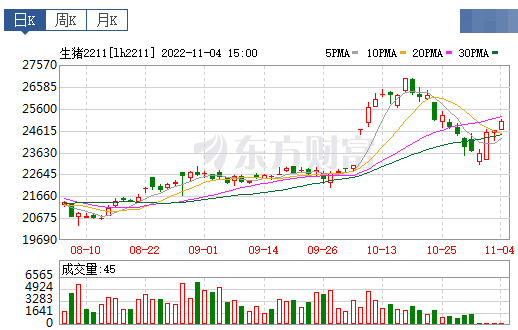 2022.11.05今日猪价