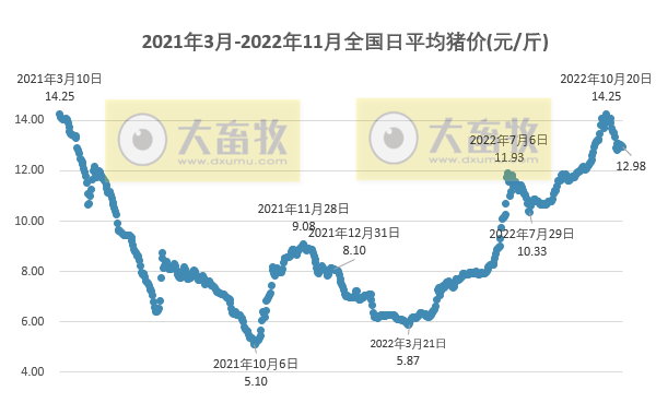 2022.11.06今日猪价
