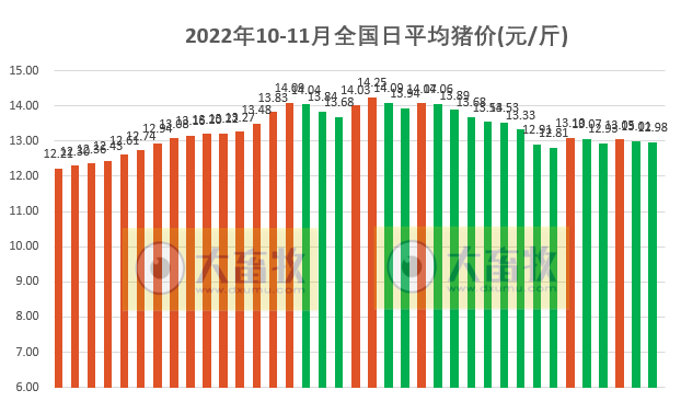 2022.11.06今日猪价