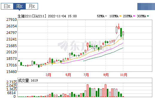 2022.11.06今日猪价