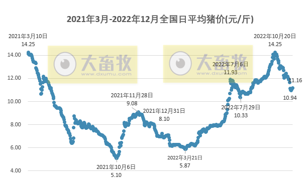 2022.12.01今日猪价