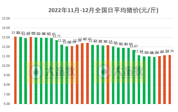 2022.12.01今日猪价