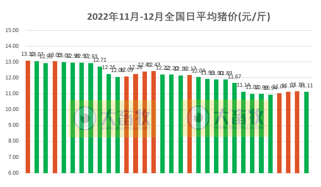 2022.12.02今日猪价