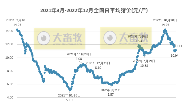 2022.12.02今日猪价