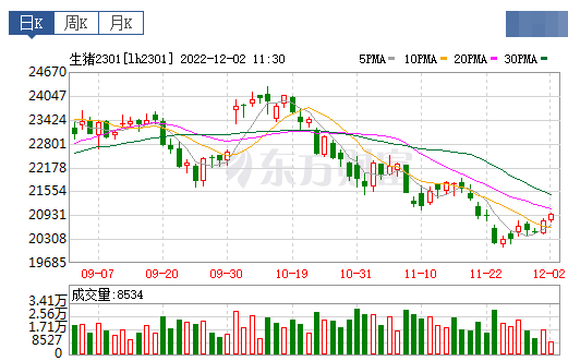 2022.12.02今日猪价