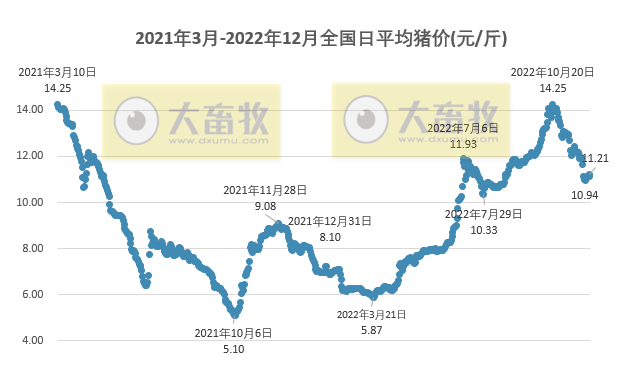 2022.12.03今日猪价